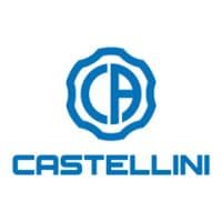Castellini